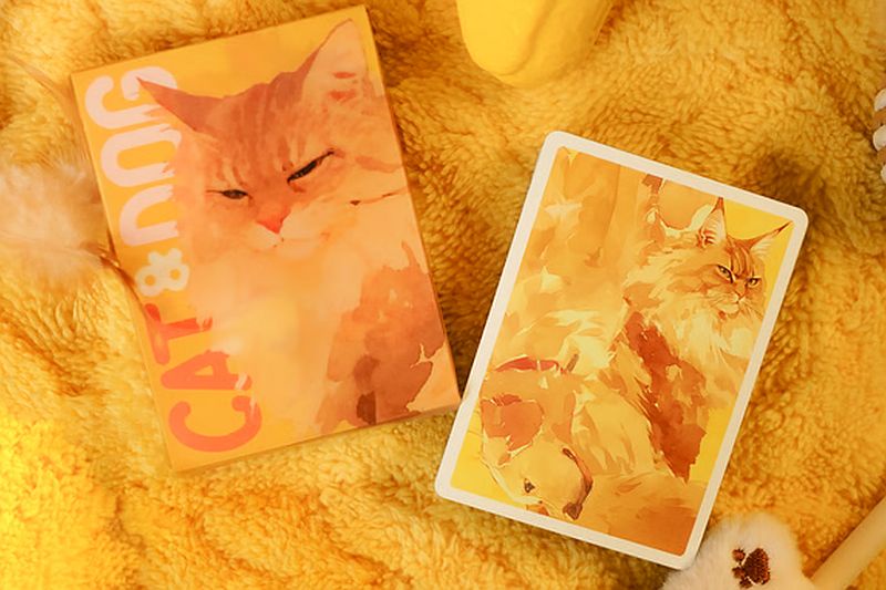 TCC Fashion V2 Playing Cards 4デックセット Kickstarter: TCC V2 Fashion Playing Cards by TCC | BoardGameGeek