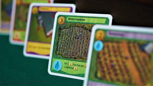 Board Game: Fields of Green