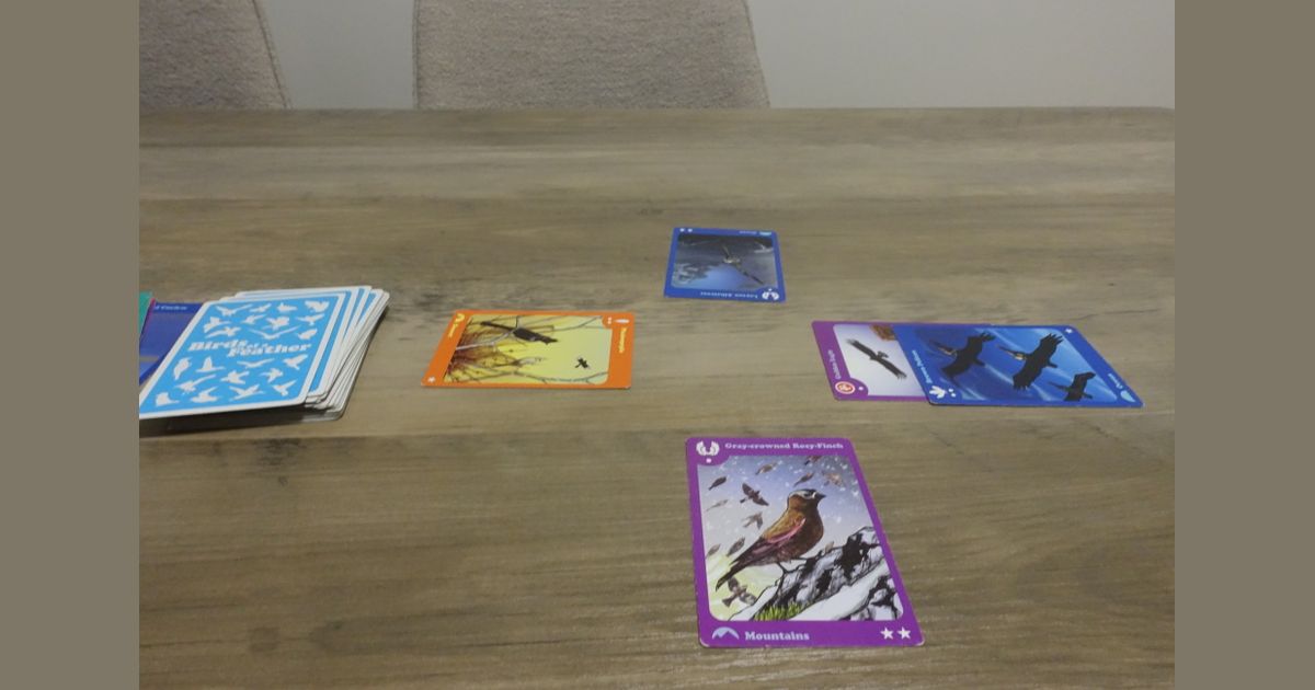 The B`s knees - a deep dive in my collection | One Single Meeple