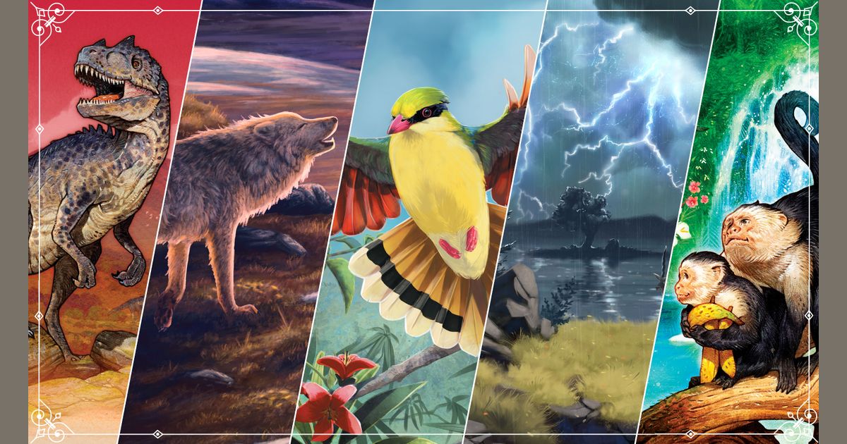Collectible card games (CCGs) are a money sink. How is Nature different ...