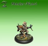 Bushido: Master Akari