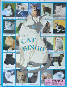 Lucy Hammett's Cat Bingo