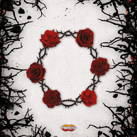 Black Rose Wars: Hidden Thorns