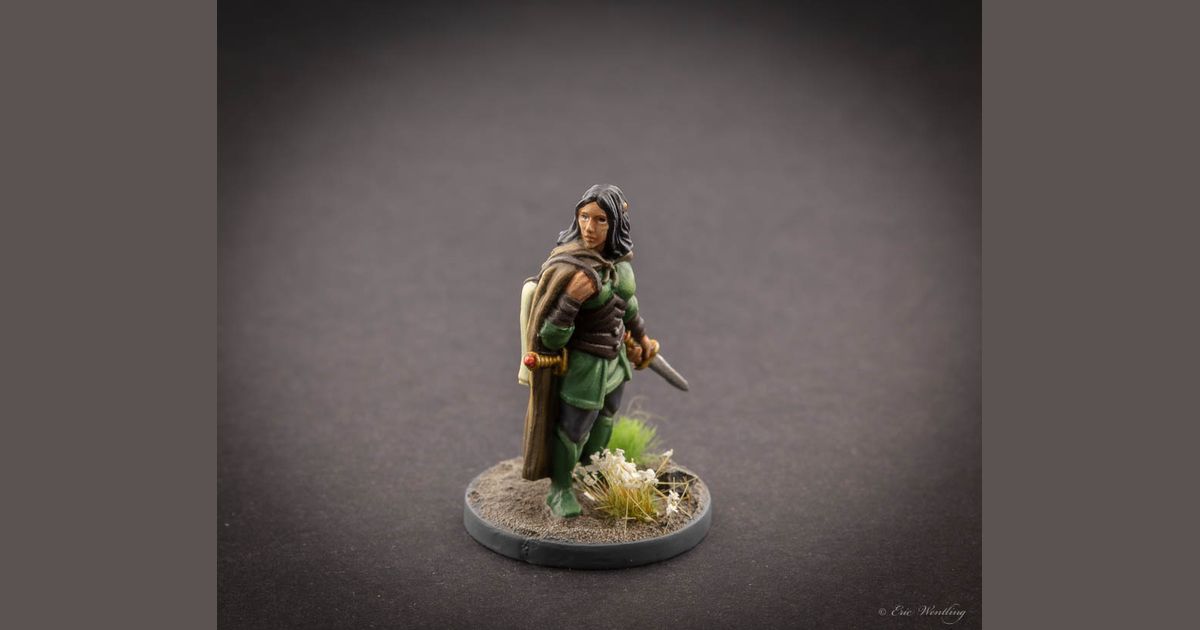 LOTR: Journeys in Middle Earth -- Elena | Don't Play Gray! | BoardGameGeek