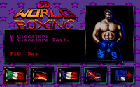 Video Game: 3D World Boxing