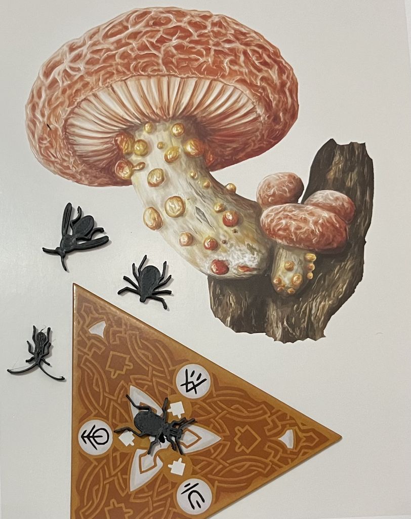 Illustration 2 de Mycelia | The Strategic Mushroom Game