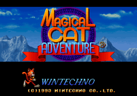 Video Game: Magical Cat Adventure