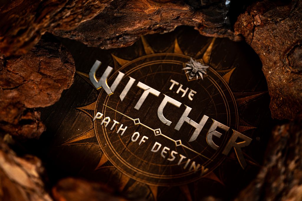 Illustration 3 de The Witcher : La voie du destin