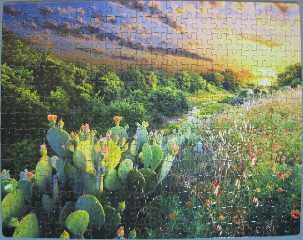 From gallery of Jude