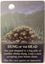 Board Game: Zombie Sheep: Dung of the Dead