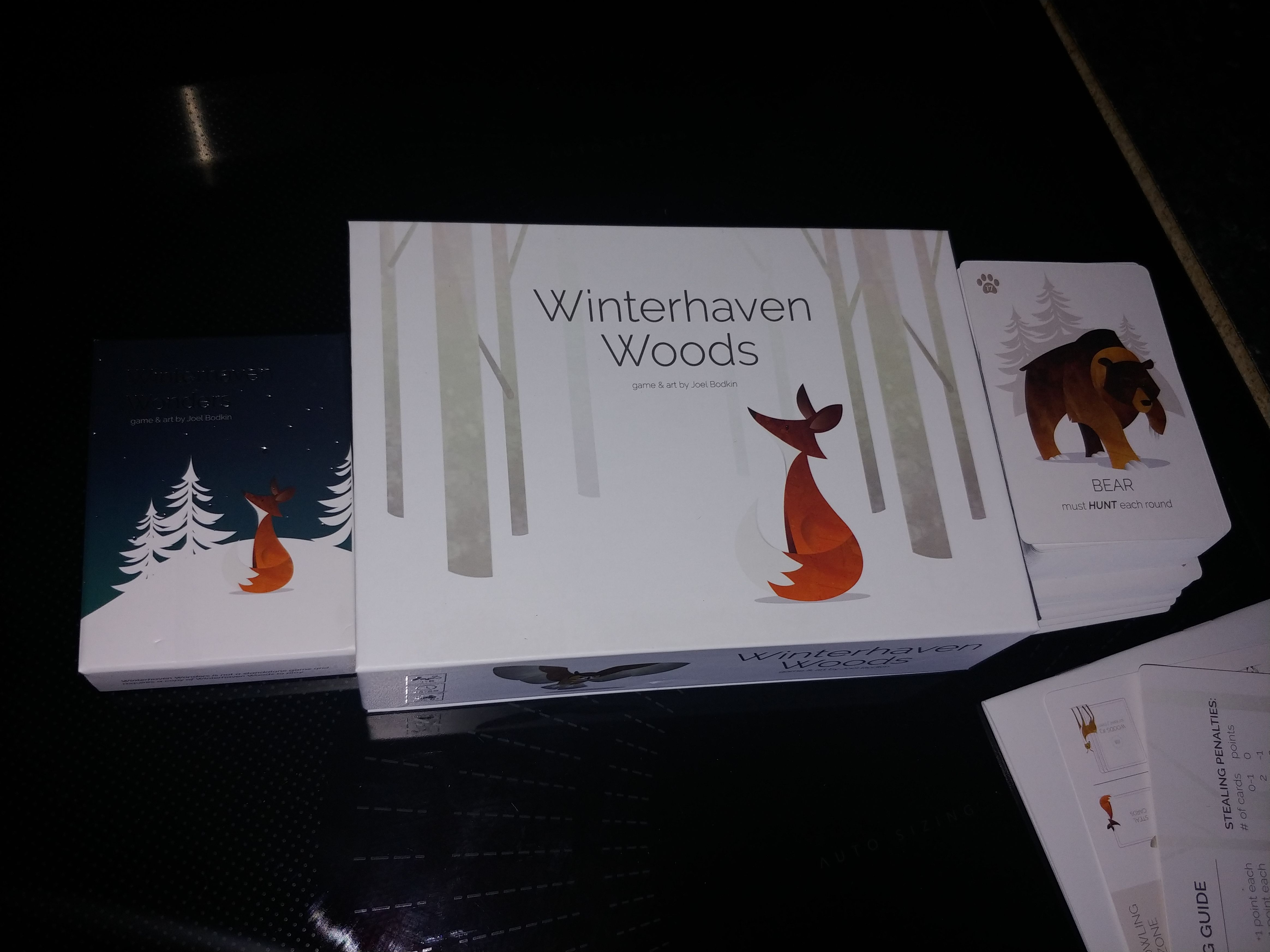 Coperta Winterhaven Woods: Winterhaven Wonders