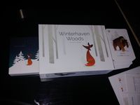 Winterhaven Woods: Winterhaven Wonders