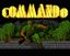 Video Game: Commando (1985)