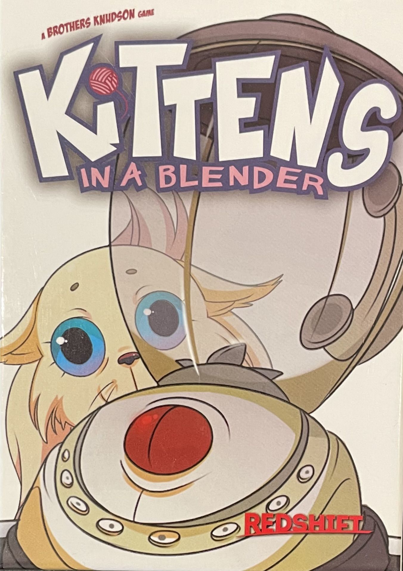 Kittens in a Blender
