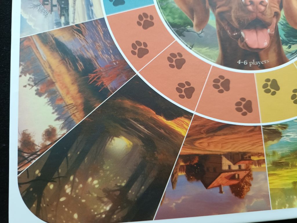 Illustration 12 de Jano - A Pawsome Adventure