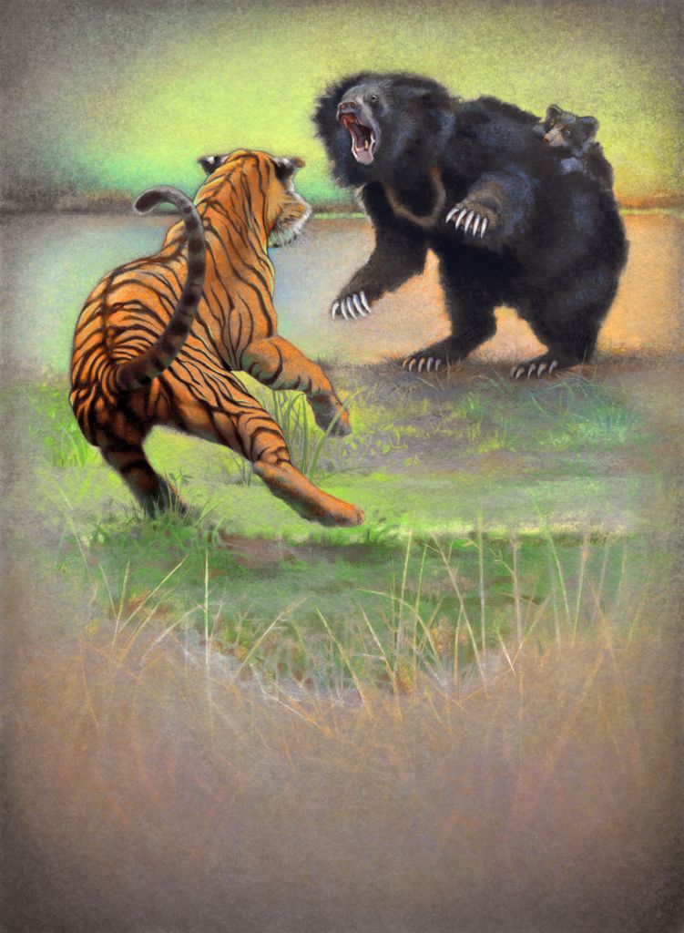 Illustration 10 de Nature: a redesign of the award-winning Evolution board game