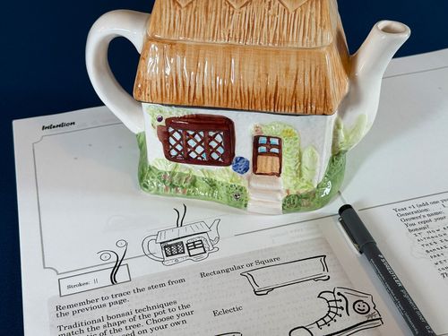 The Bonsai Diary: Tracing the Life and Growth of a Seedling | Gameward  Bound | BoardGameGeek