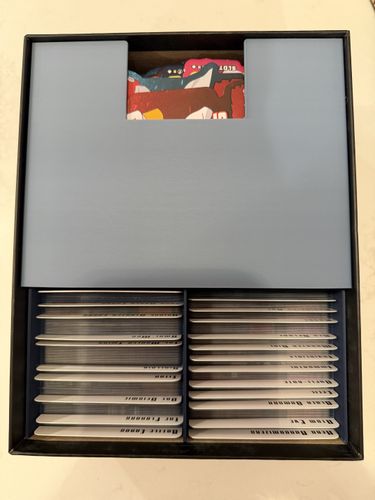 3D Insert for KS Edition and Sleeved Cards | Invincible: The Card Game