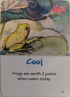 KOI: Cool Weather Promo Card