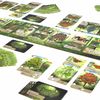 Game Overview