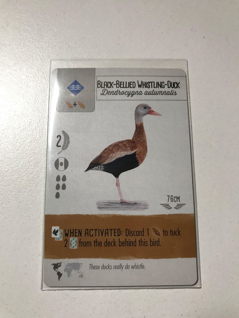 Mayday Premium sleeves fit (pic) | BoardGameGeek