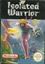 Video Game: Isolated Warrior