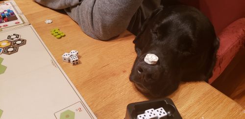 Heavy Games On Your Table January 2020 Boardgamegeek