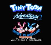 Video Game: Tiny Toon Adventures 2: Trouble in Wackyland