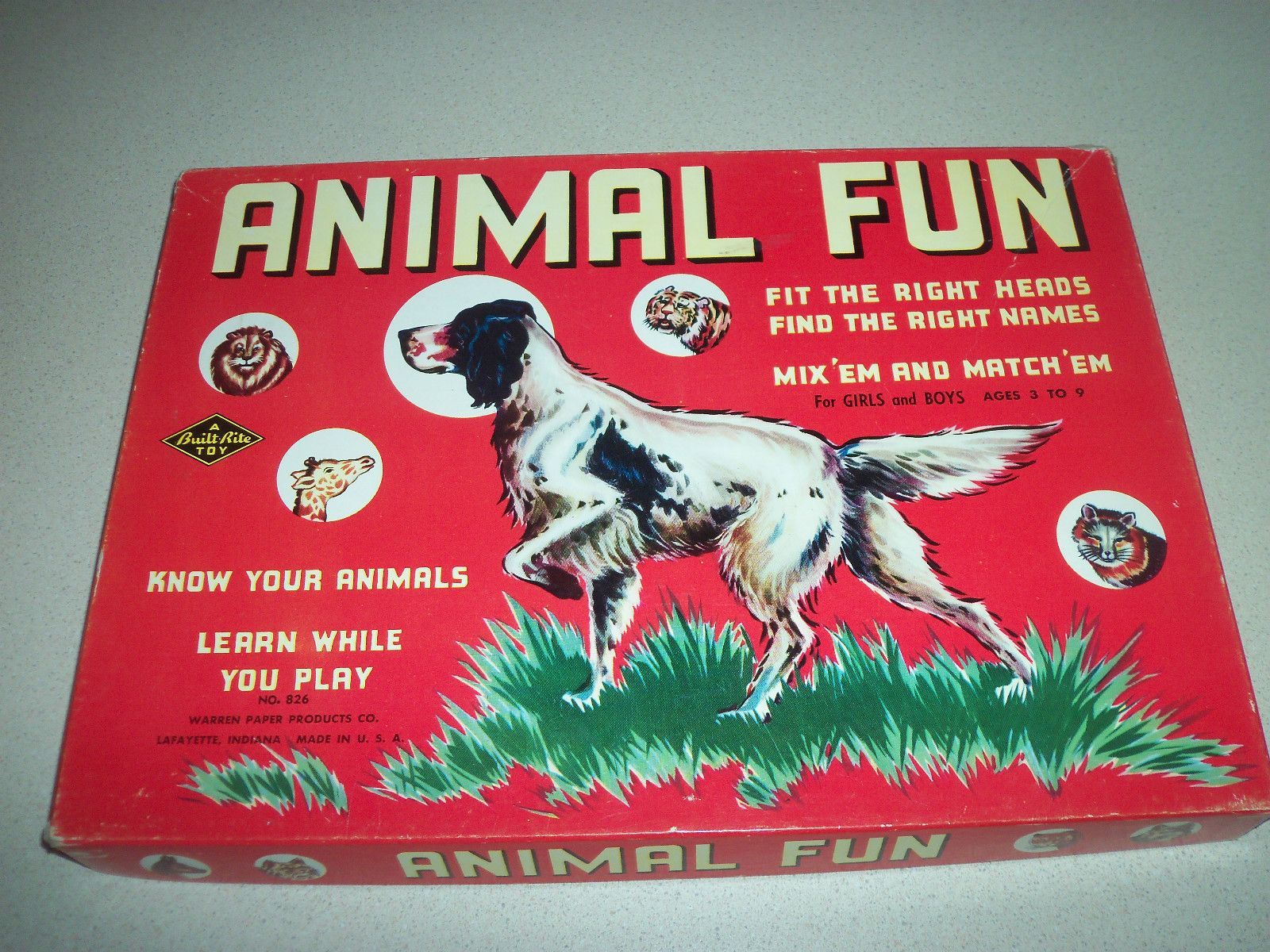 Animal Fun