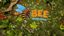 Video Game: Bee Simulator