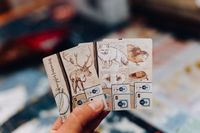 Icy Pokemons for your collection, cap'n!