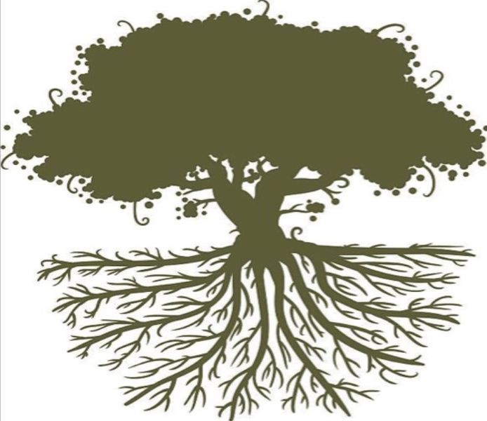 Root & Branch