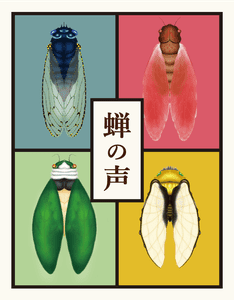 蝉の声 (Cicada's Voice)