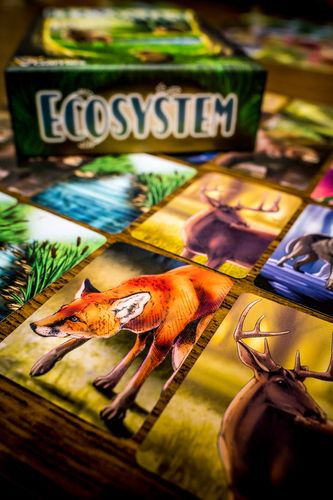 Board Game: Ecosystem