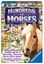 Board Game: Hundreds of Horses