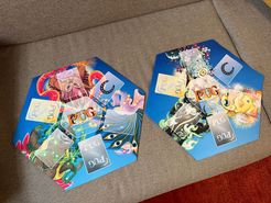 Pick The Pug: Central Playmat