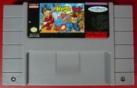 Video Game: Super Ninja Boy