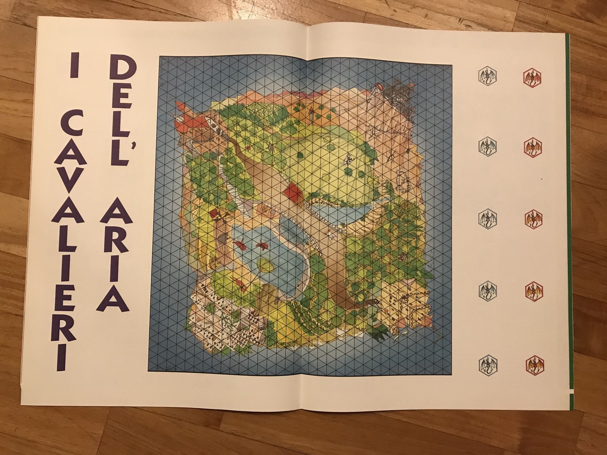 I Cavalieri dell'Aria
