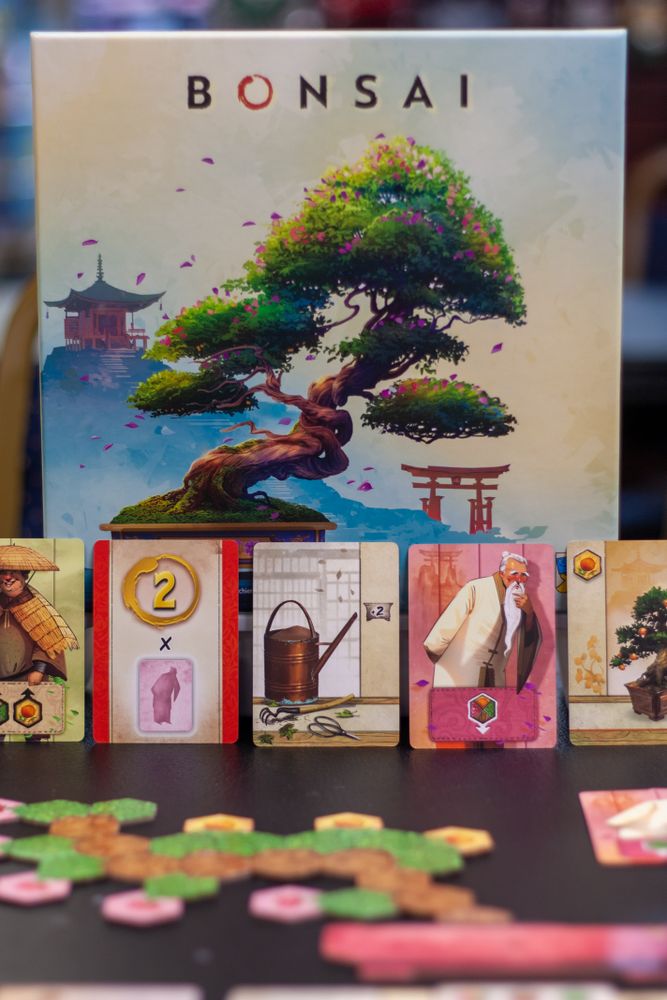 Bonsai Cultivating your own tree and a fun time! REVIEW Bonsai