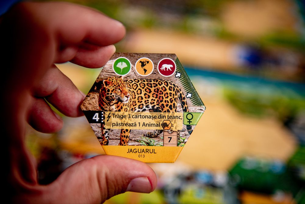 Sanctuary @ BoardGameColors