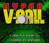 Video Game: Hyper V-Ball