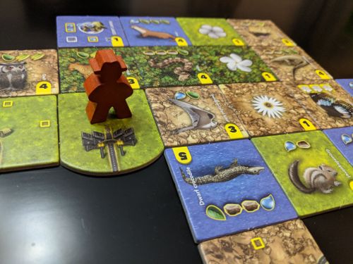 Board Game: Habitats