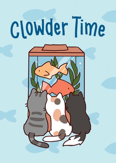 Coperta Cat Rescue + Clowder Time  Expansion