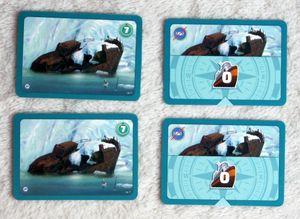 Neko Harbour: The Card Game – Ghost Ship