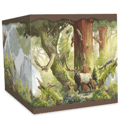 オンラインショップ ボードゲーム Redwood the Big - Box Edition ...