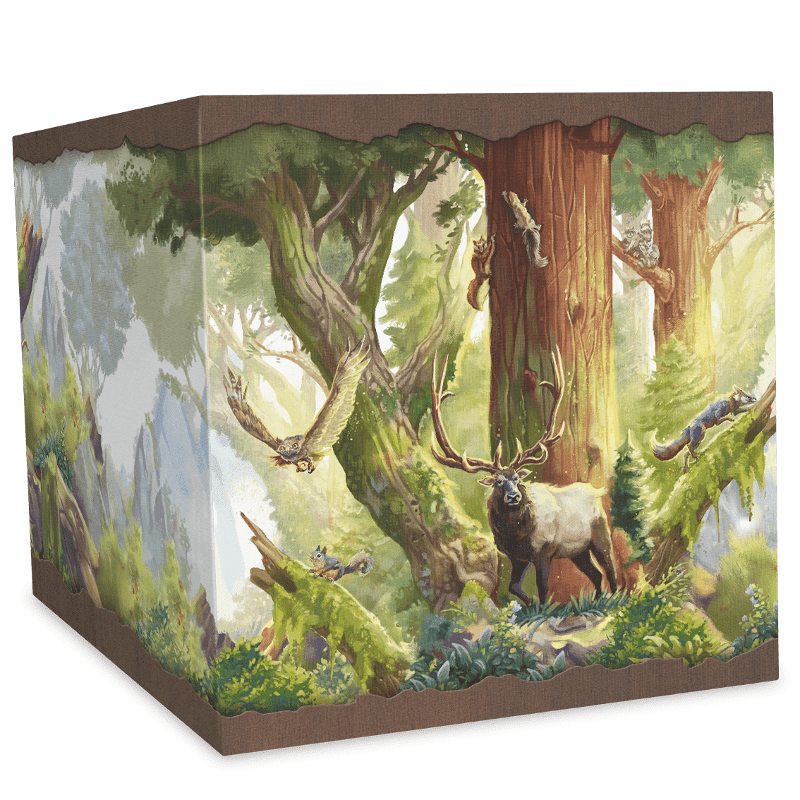 Redwood: Big Box