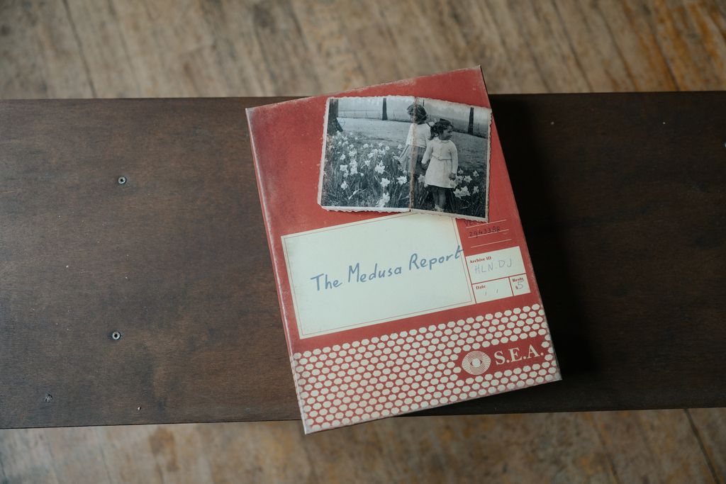 Illustration 1 de The Medusa Report