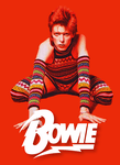 Bowie Cover
