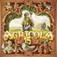Board Game: Agricola 15