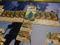 My son's got one hell of a habitat here... got…